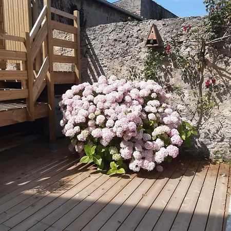 Nature - Entierement Neuf A 100m De La Wimereux